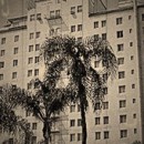 Hotel Roosevelt y sus habitantes ocultos